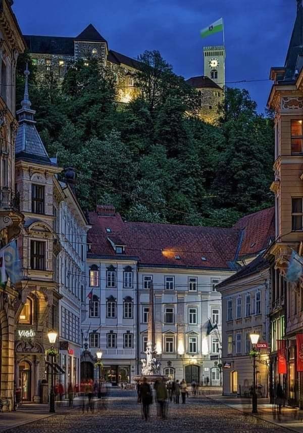 Apartment In The Heart Of Ljubljana Luaran gambar